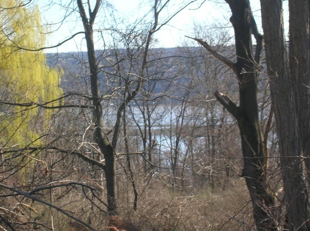 Property Photo:  121 Hillcrest Drive  NY 14850 