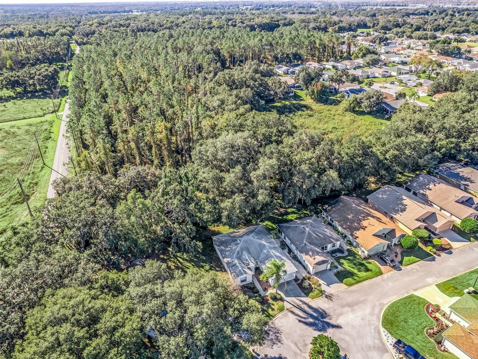 Property Photo:  850 Old Oaks Lane  FL 34748 