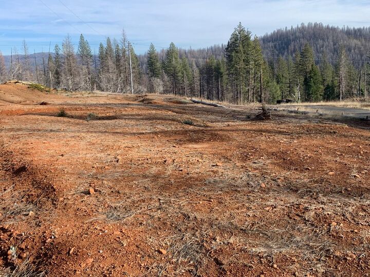 4826 Mount Pleasant Drive  Grizzly Flats CA 95636 photo