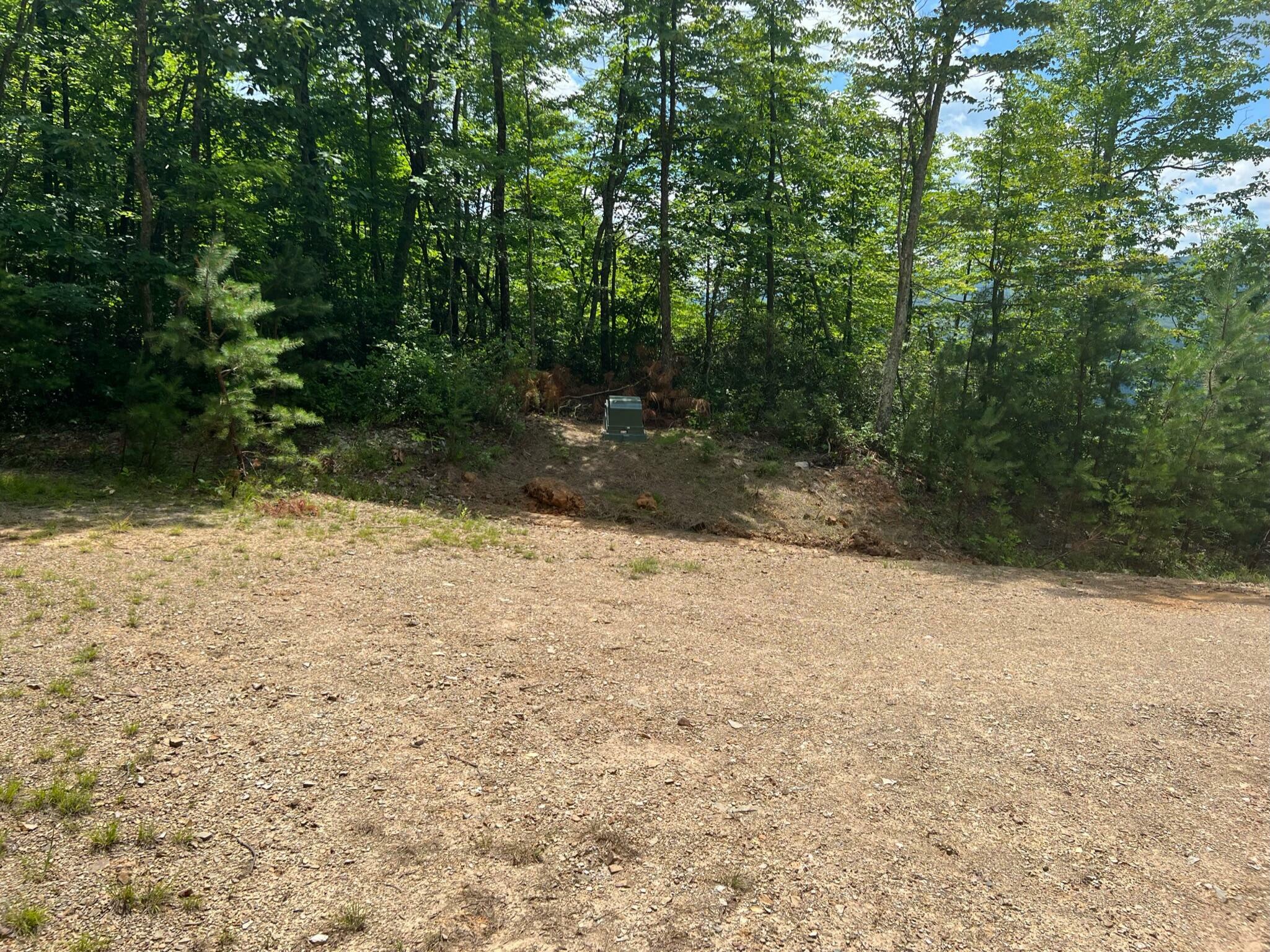 Property Photo:  Lot 41 Waiteville Rd  WV 24984 