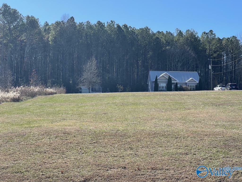 Property Photo:  159 County Road 1849  AL 35016 