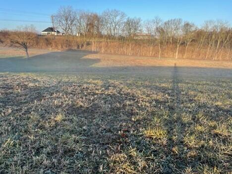 Property Photo:  Tract 3 Hwy 1316  KY 41083 