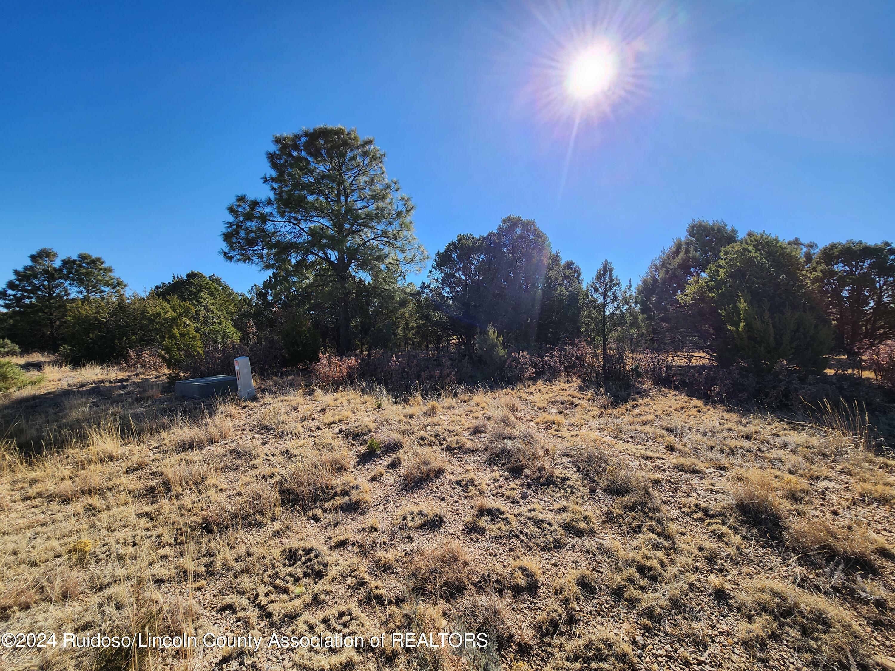 Property Photo:  Lot 22B-1 Lincoln Hills Drive  NM 88312 