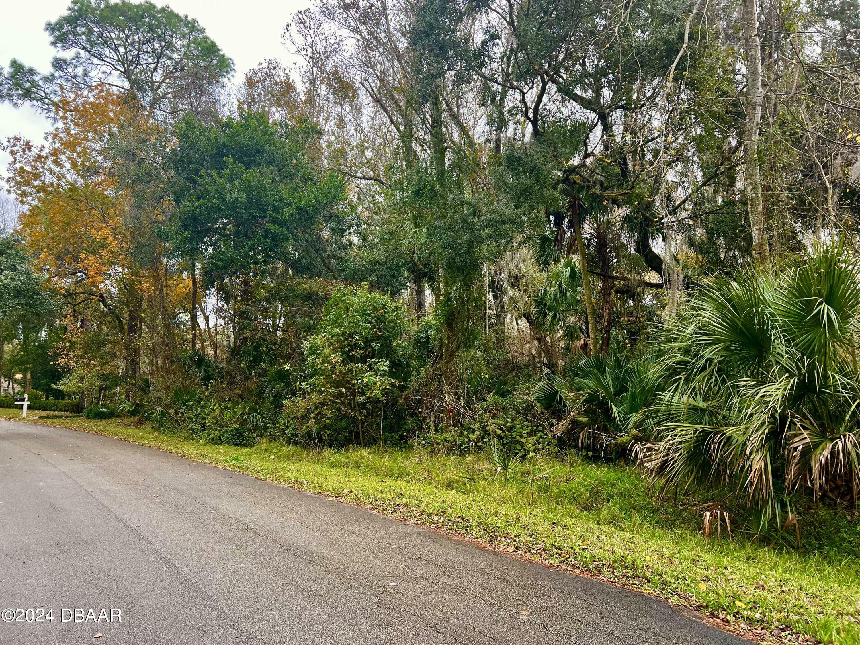 Property Photo:  280 Riverbend Road  FL 32174 