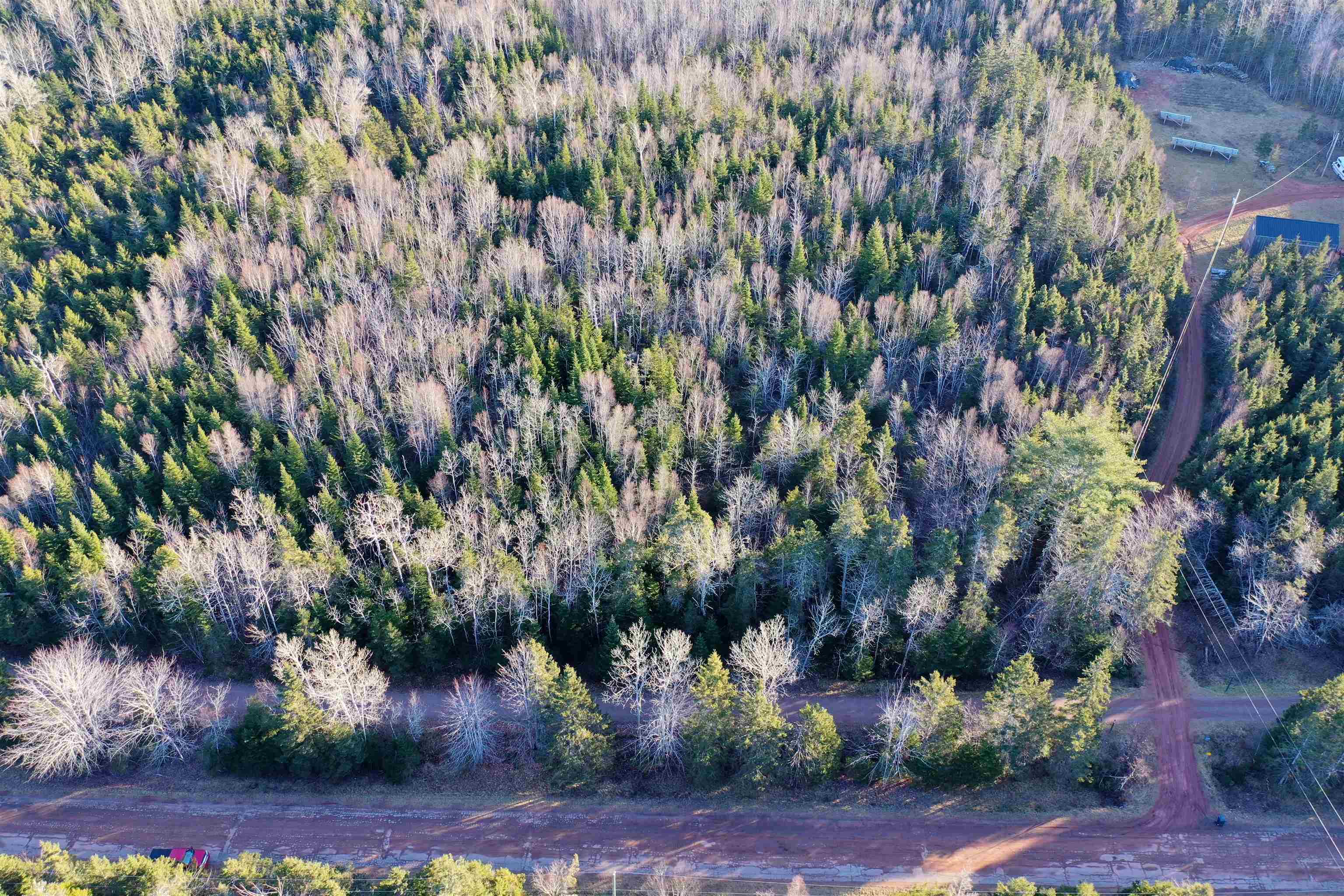 Photo de la propriété:  Acreage Straghbohgie Road  PE C0A 1G0 