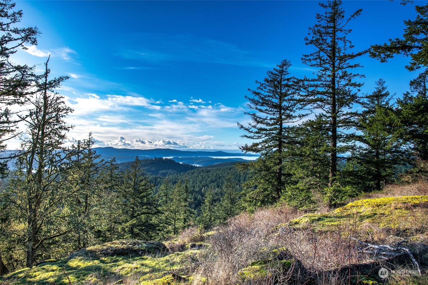 Property Photo: 2 Sw2 Rustic Homestead Lane WA 98245