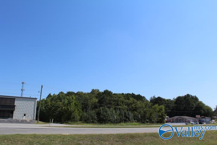 Property Photo: 1 Brindlee Mountain Parkway AL 35016