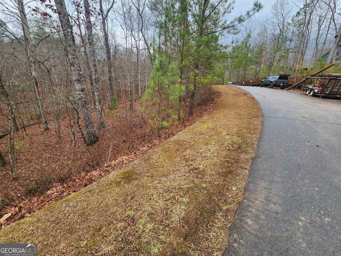 Lot 9 Harris Creek Drive  Ellijay GA 30540 photo