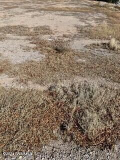 Property Photo:  900 Lake Tahoe Court  NM 88007 