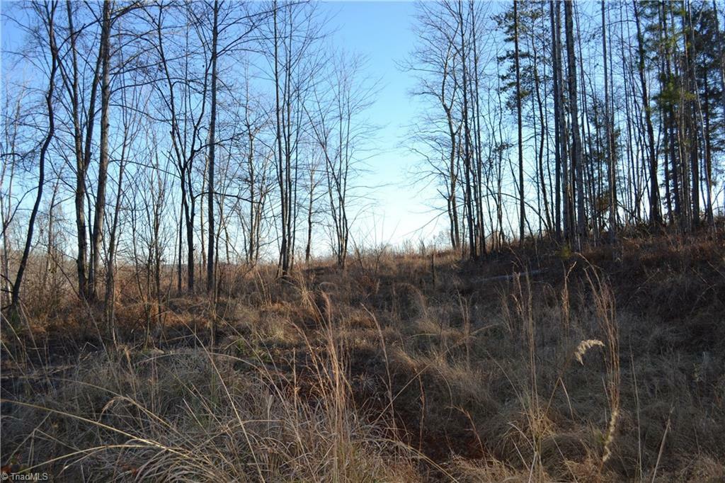 Property Photo:  15 Acres Nc Highway 770  NC 27048 