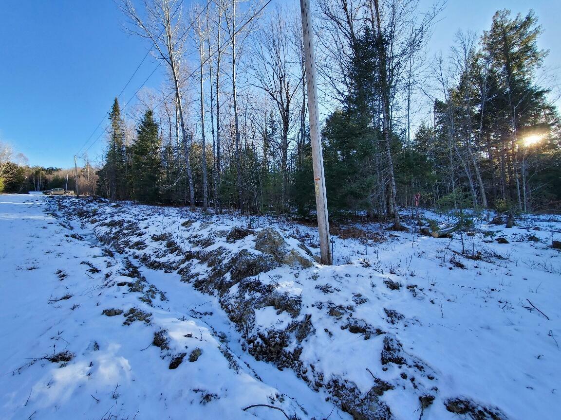 Property Photo:  49 Birch Lane  ME 04457 