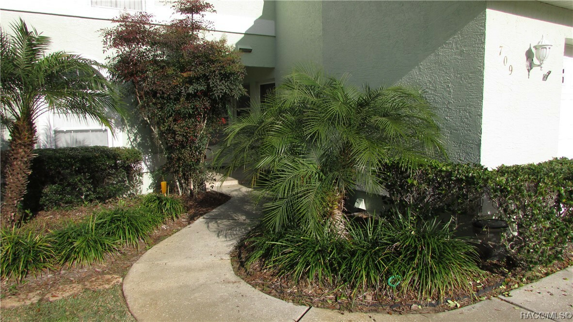 Property Photo:  709 Moray Drive  FL 34453 