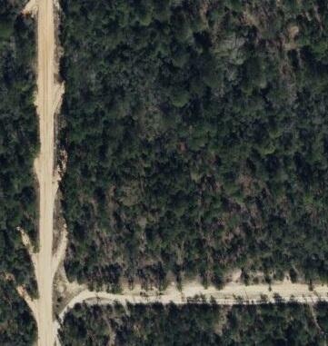 Property Photo:  0.94 Acres Princess Drive  FL 32433 