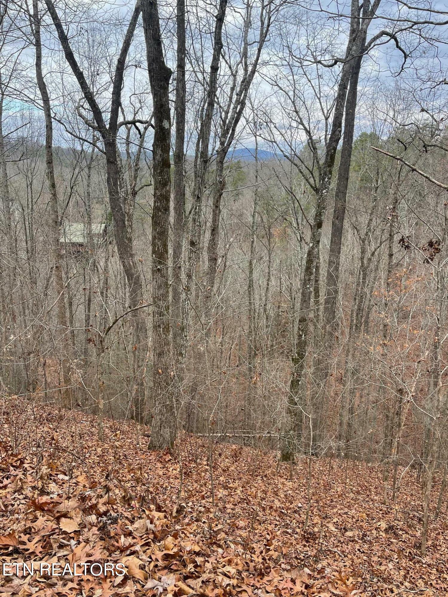 Property Photo:  Lot 99 Dolly South Drive  TN 37876 