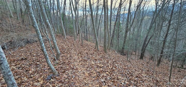 Property Photo:  Lot 10 Seay Mountain Road  NC 28785 