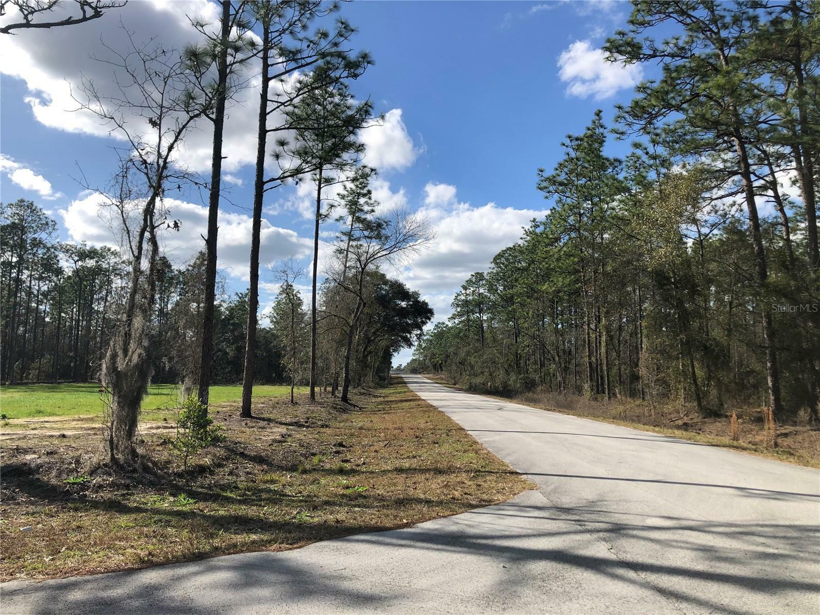 Property Photo:  Lot 57 Alvarez Road  FL 34431 