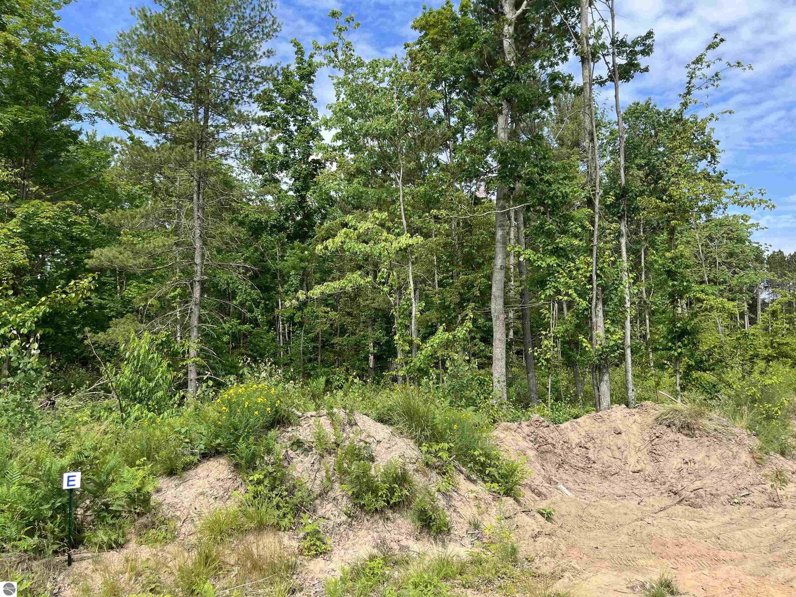 Property Photo:  Tbd Hoosier Flats Road  MI 49685 