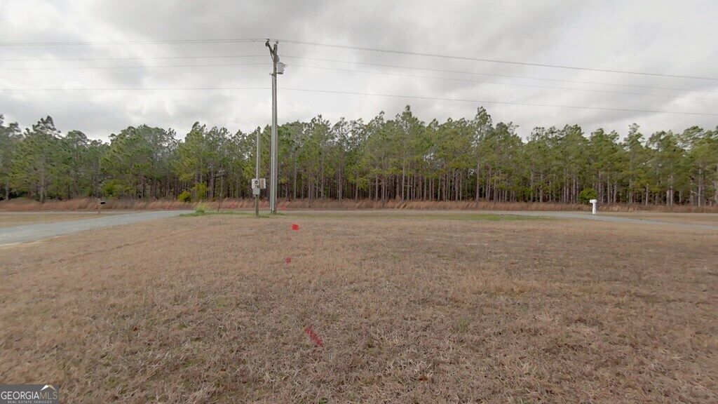 Property Photo:  1516 Upper Hawthorne Trail  GA 39828 