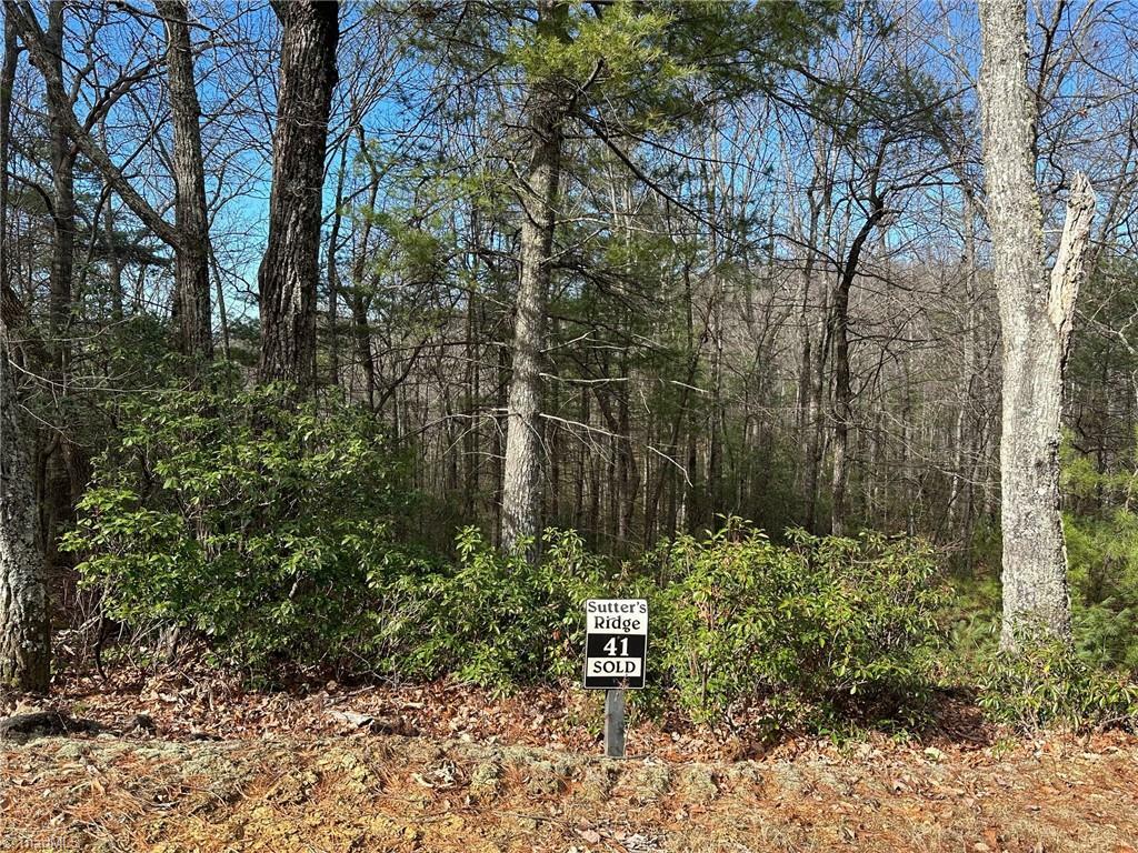 Lot 41 Sutters Ridge Road  McGrady NC 28649 photo