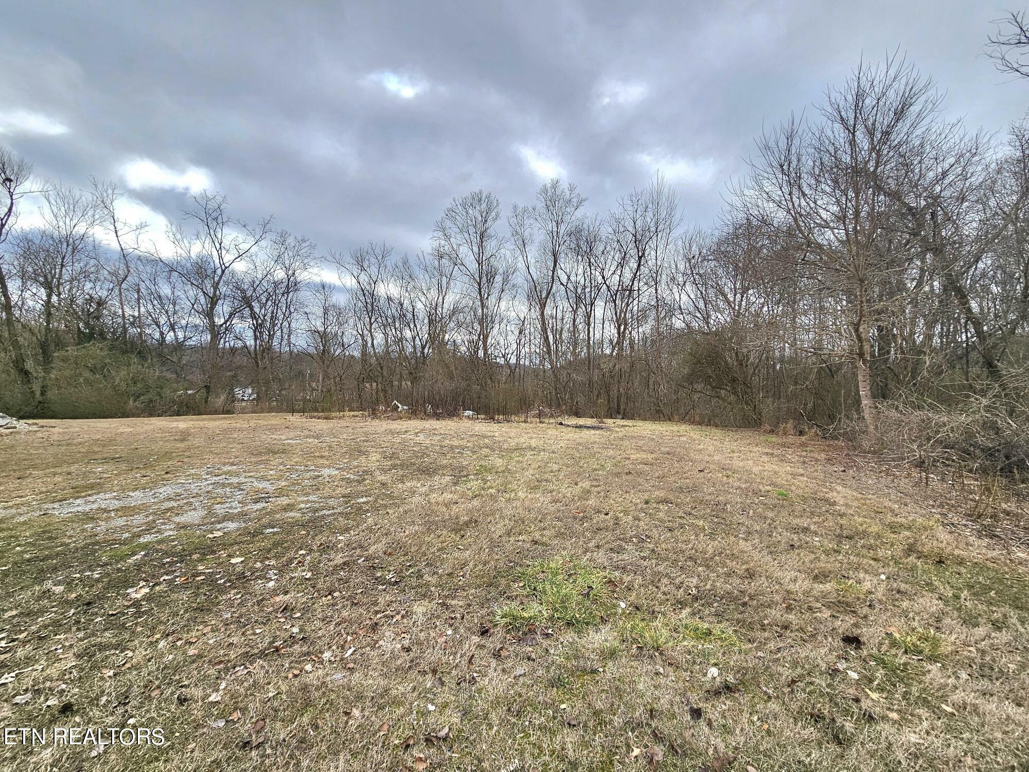 312 Michael Dunn Drive  Rockwood TN 37854 photo