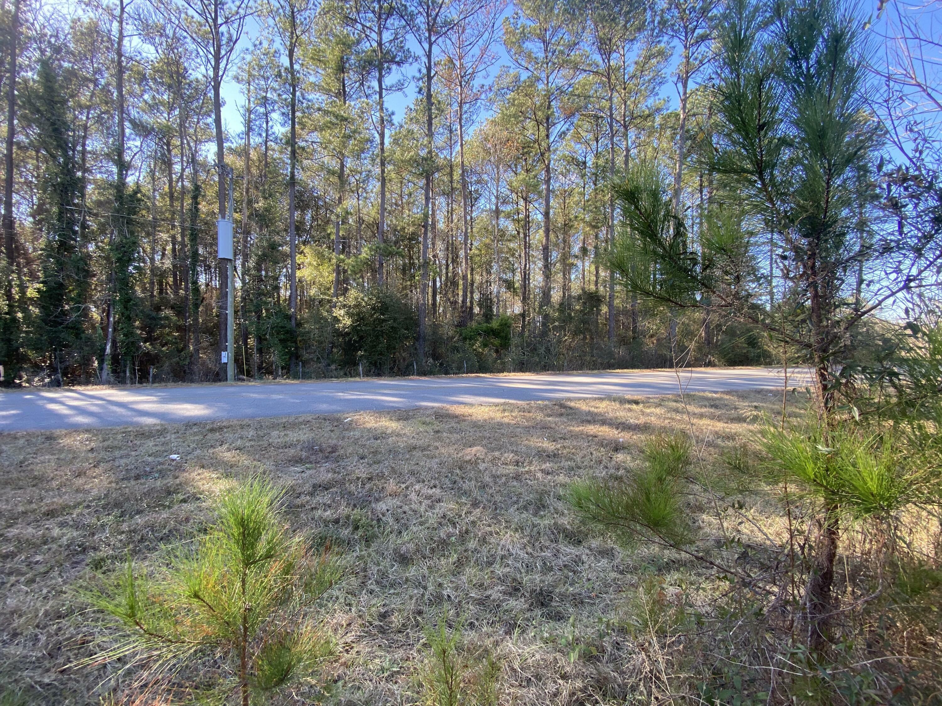 Property Photo:  Parcel B Old Ebenezer Road  FL 32567 