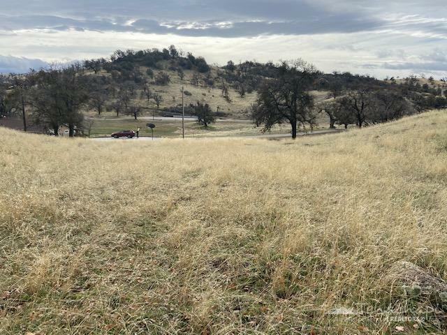 Property Photo:  0 Elkhorn Pl   Lot 56  CA 93561 