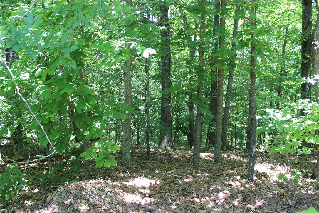 Property Photo:  Lot 2 Kintyre Drive  AR 72715 