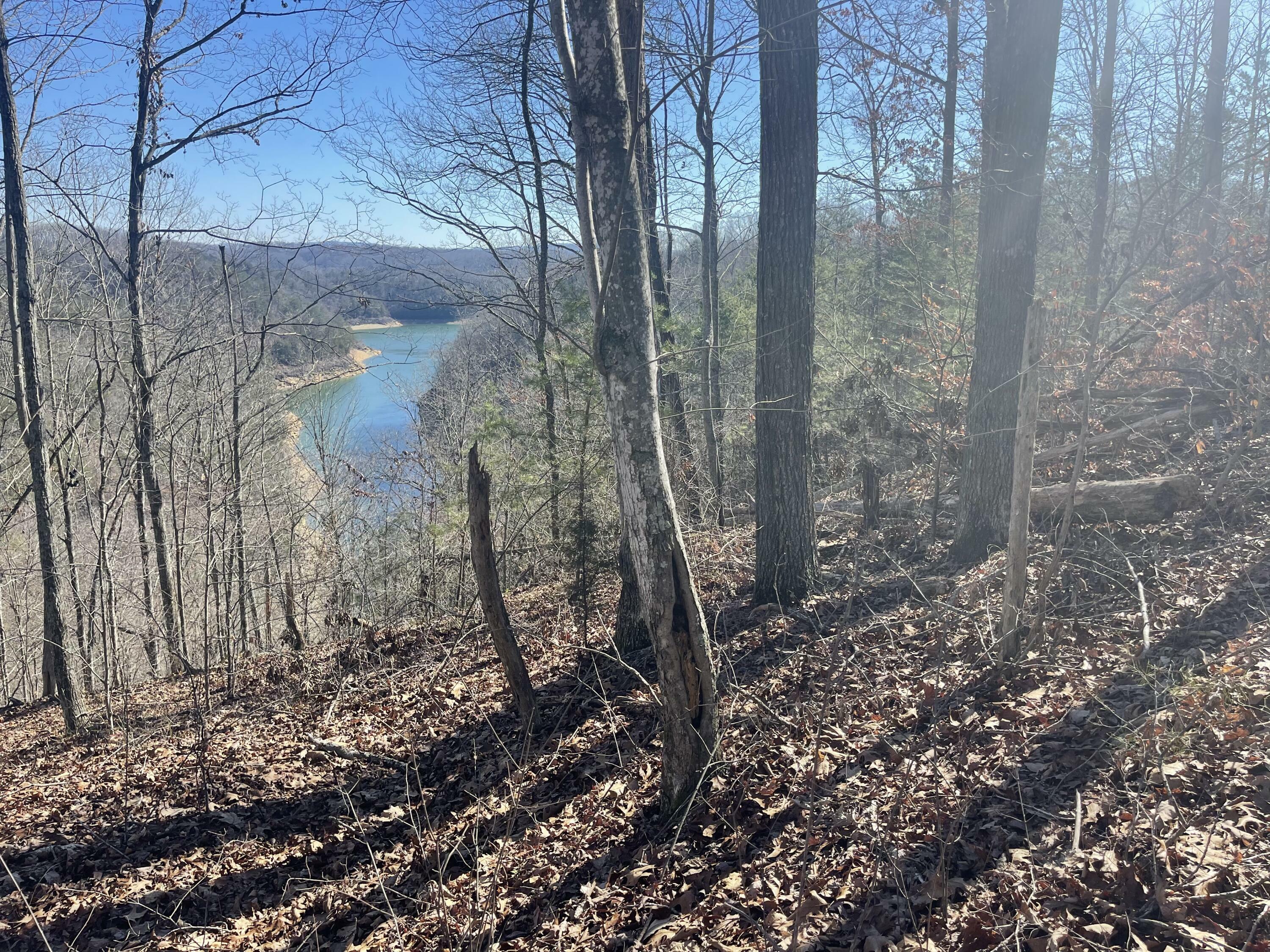 Property Photo:  Lot 66 Sandstone Point  KY 42633 