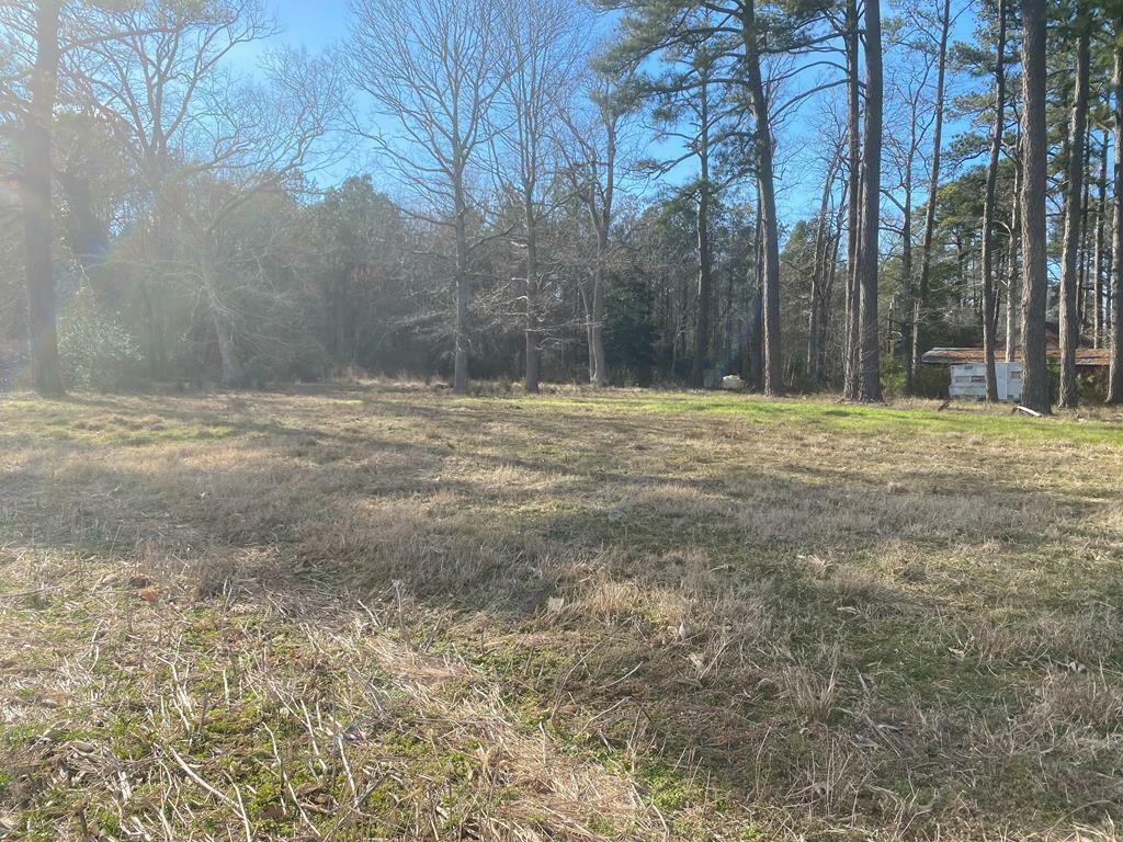 Property Photo:  Lot B Greenbush Rd  VA 23357 