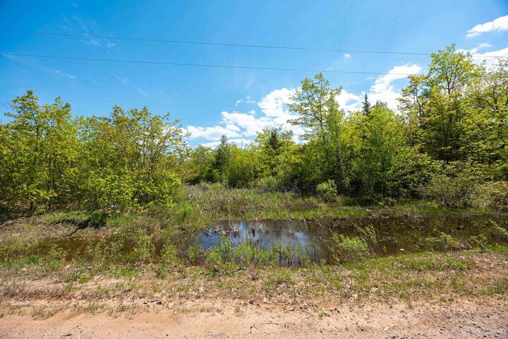 Property Photo: Lot 2 Airport Park Road MI 49930
