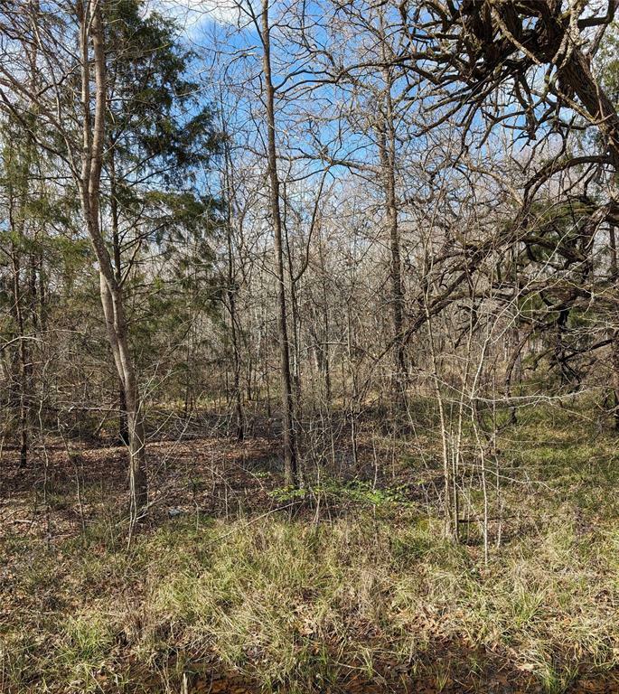 Property Photo:  000 Quail Run Road  TX 75163 