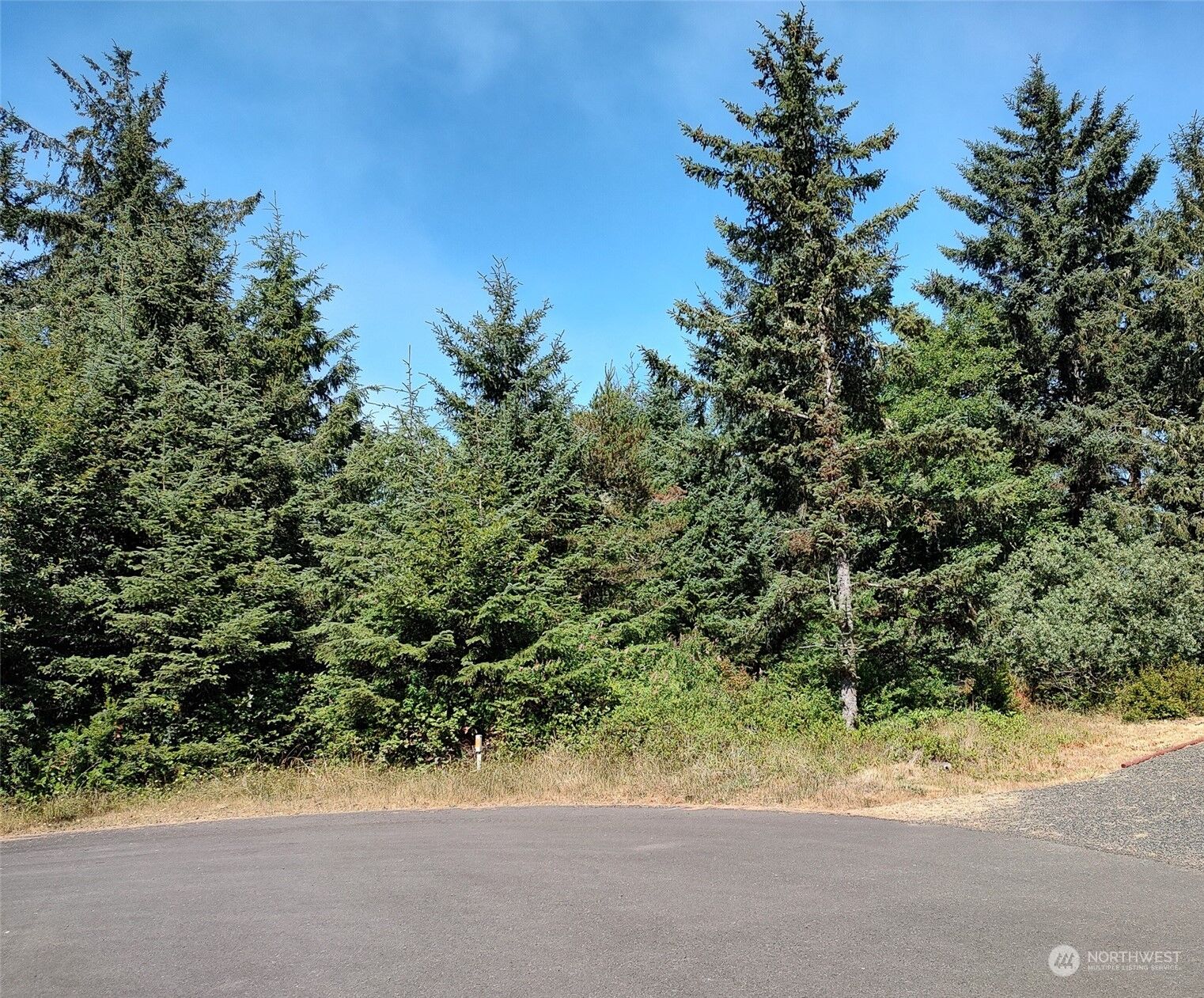 Property Photo:  621 Arcadia Court NE  WA 98569 