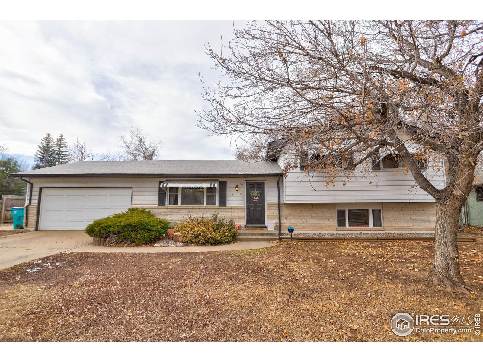 Property Photo:  1513 Constitution Ave  CO 80521 