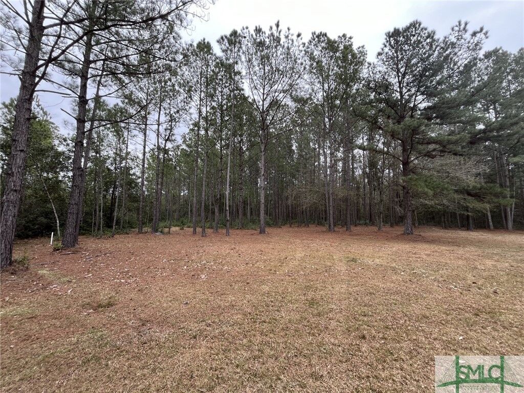Property Photo: 0 John Wells Road GA 31313