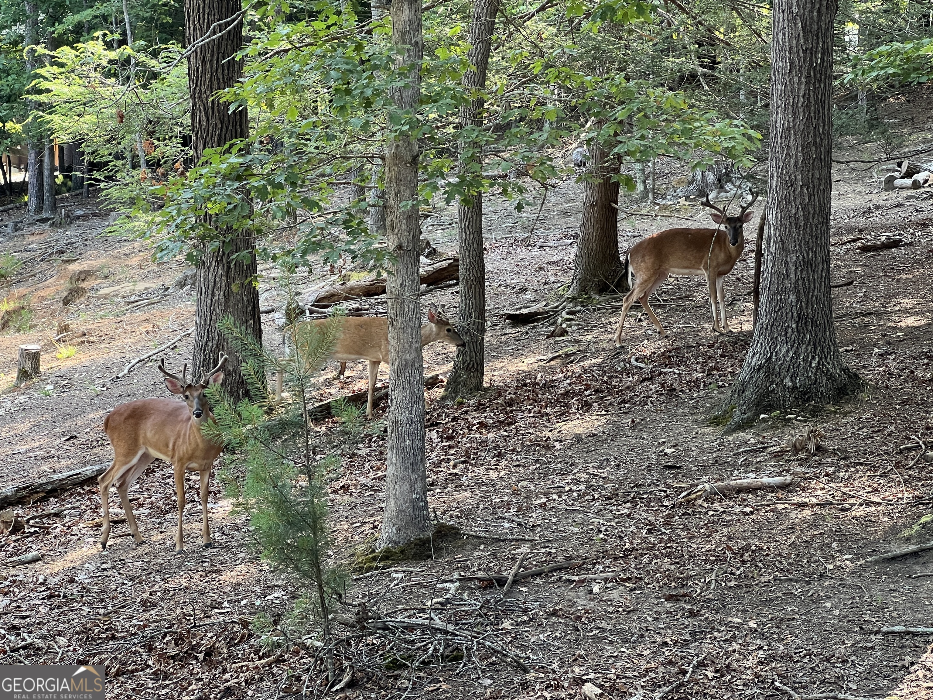 Property Photo:  Lot 11 Possum Poke  GA 30536 