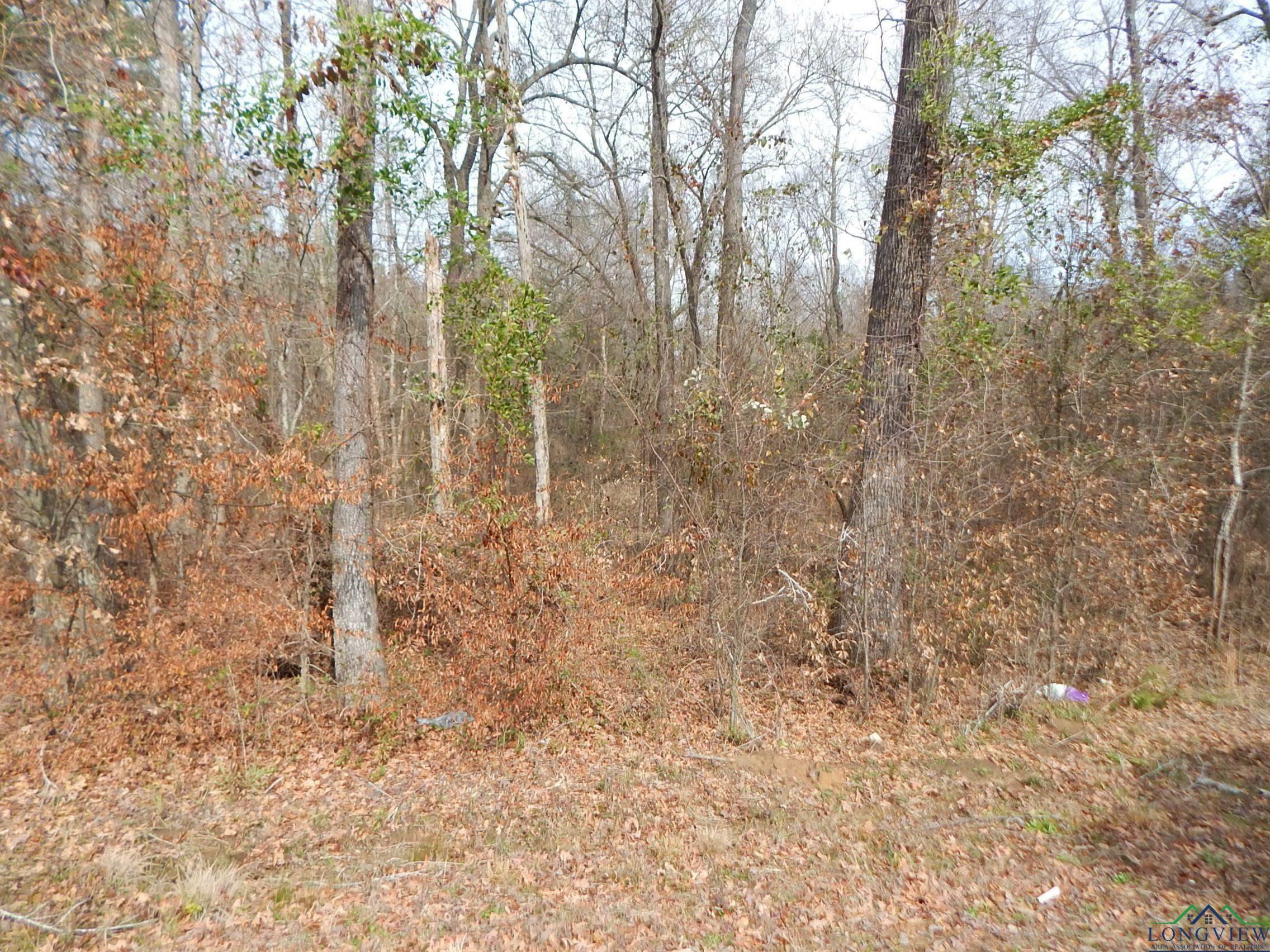 Property Photo:  Tbd 11.72 Acres George Richey  TX 75693 