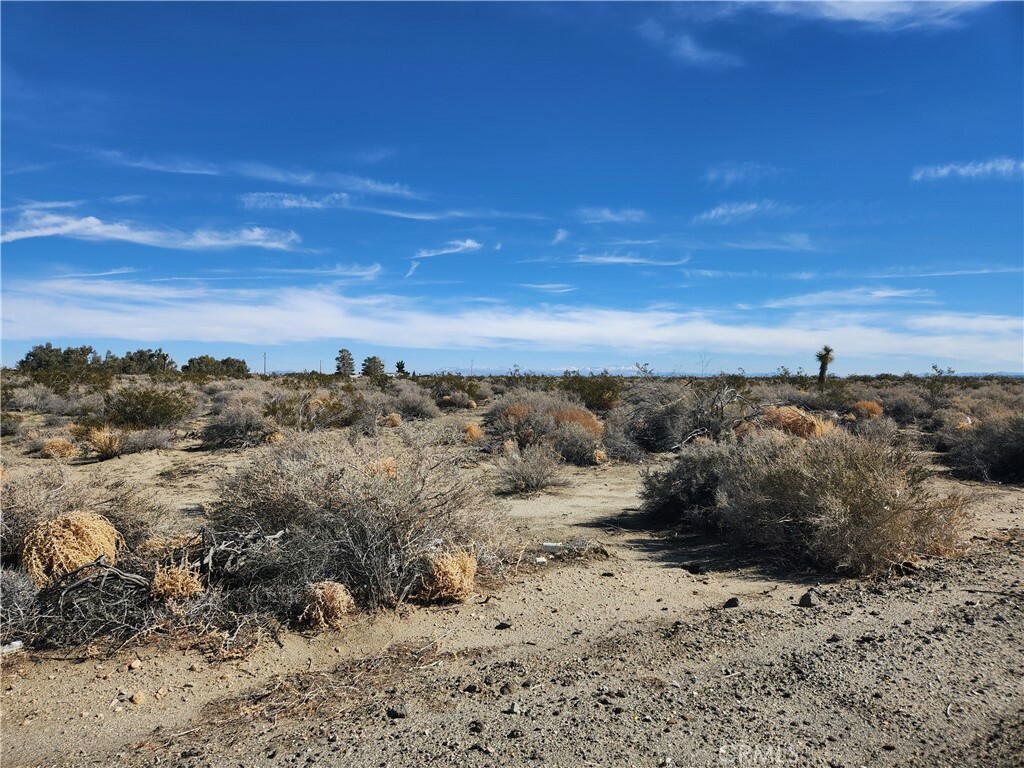 Property Photo:  0 El Mirage/Sheepcreek Road  CA 92301 