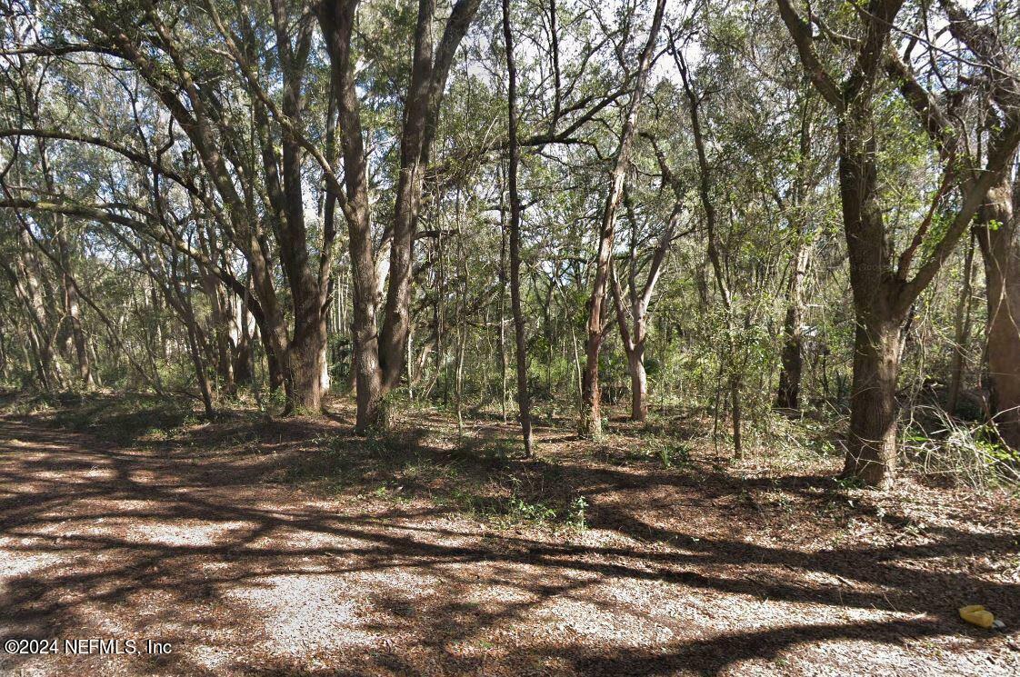Property Photo: Lots 6 &Amp 7 Gladys Avenue FL 32148