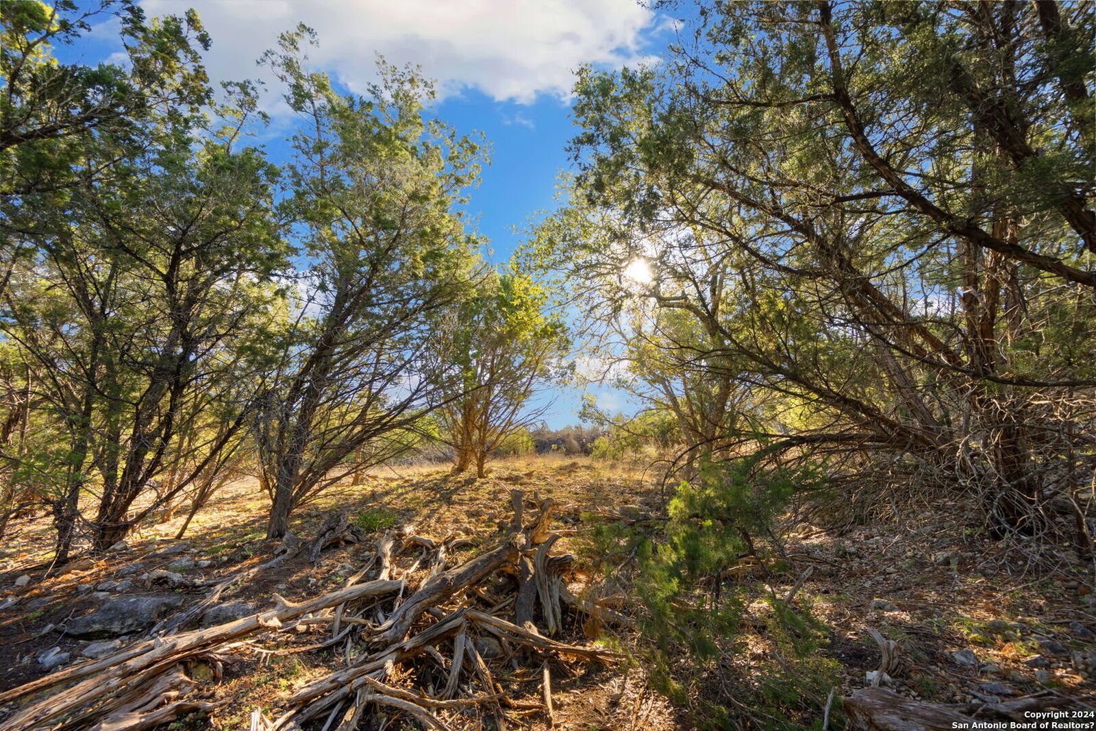 Property Photo:  1981 Pinotage  TX 78132 