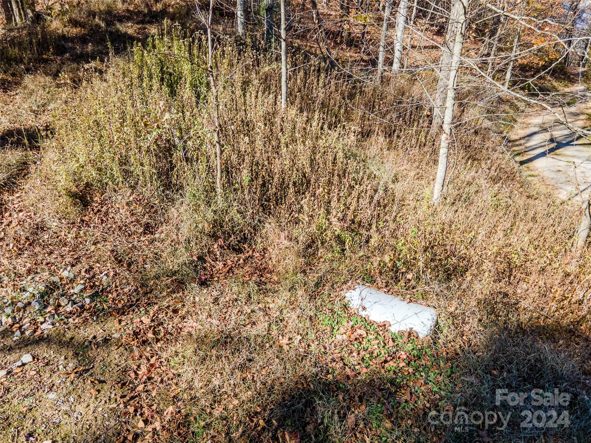 Property Photo:  Lot 18 Bucks Ridge 18  NC 28721 