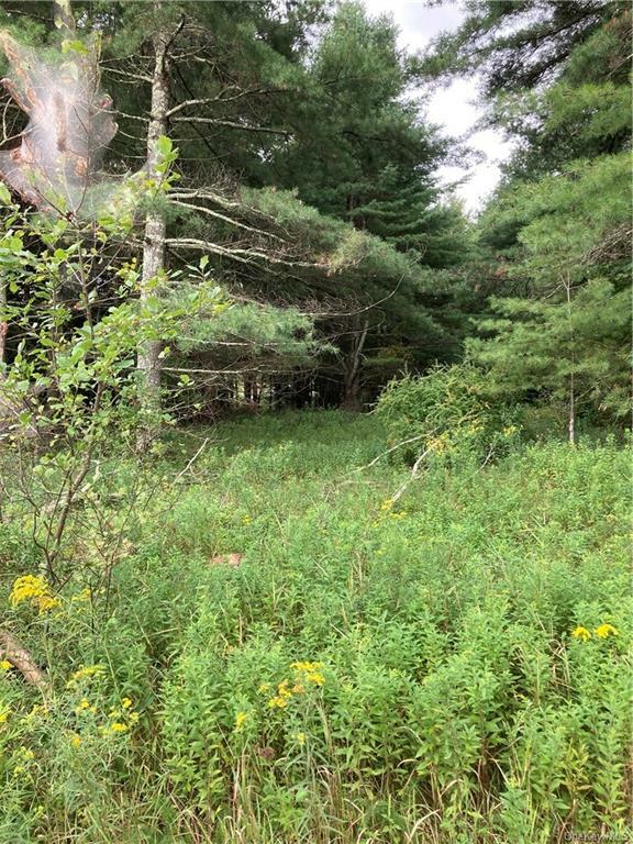 Property Photo:  Old White Lake Turnpike  NY 12720 