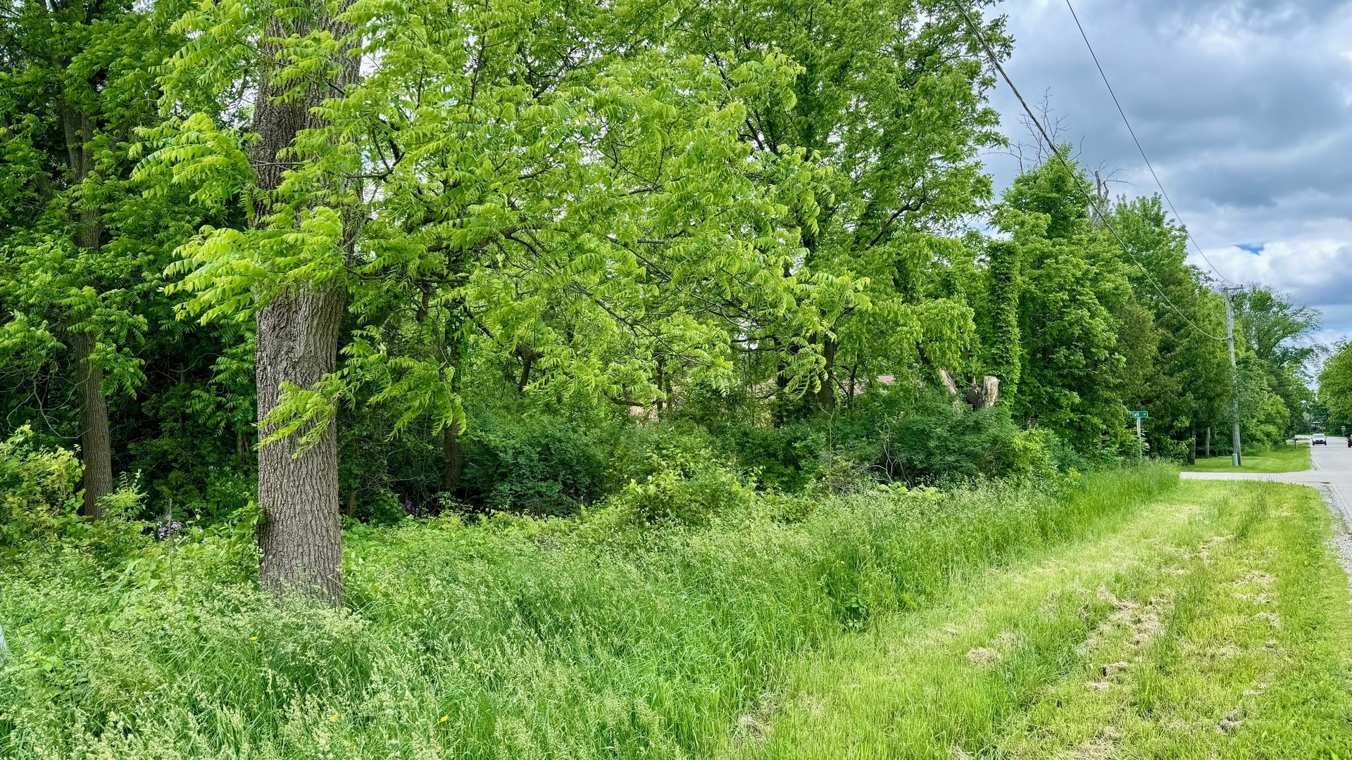 Property Photo:  Lot 1 Taft Street  IL 60071 