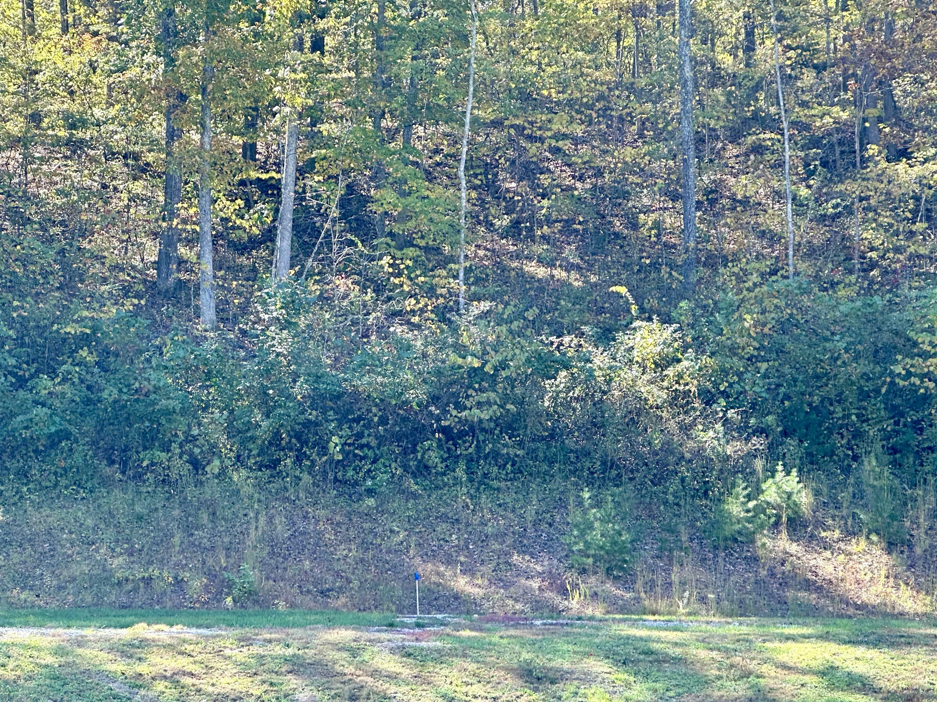 Property Photo:  Lot 44-45 Freeman Branch Road  KY 40729 