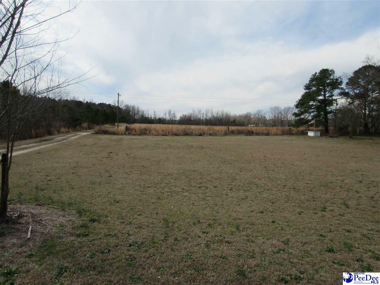 Property Photo:  Tbd E Lynches River Road  SC 29069 