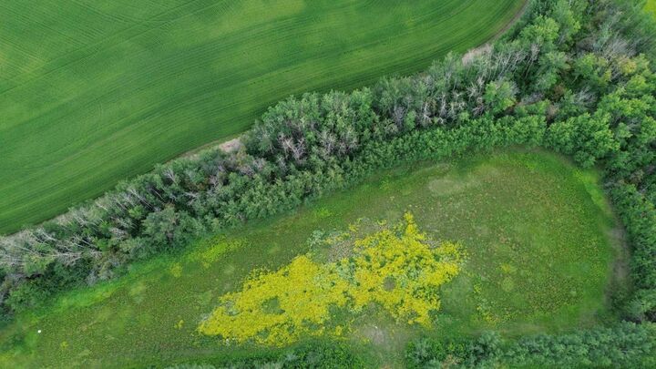 Property Photo: Range Road 80 Township Road 572 AB T0E 1Y0