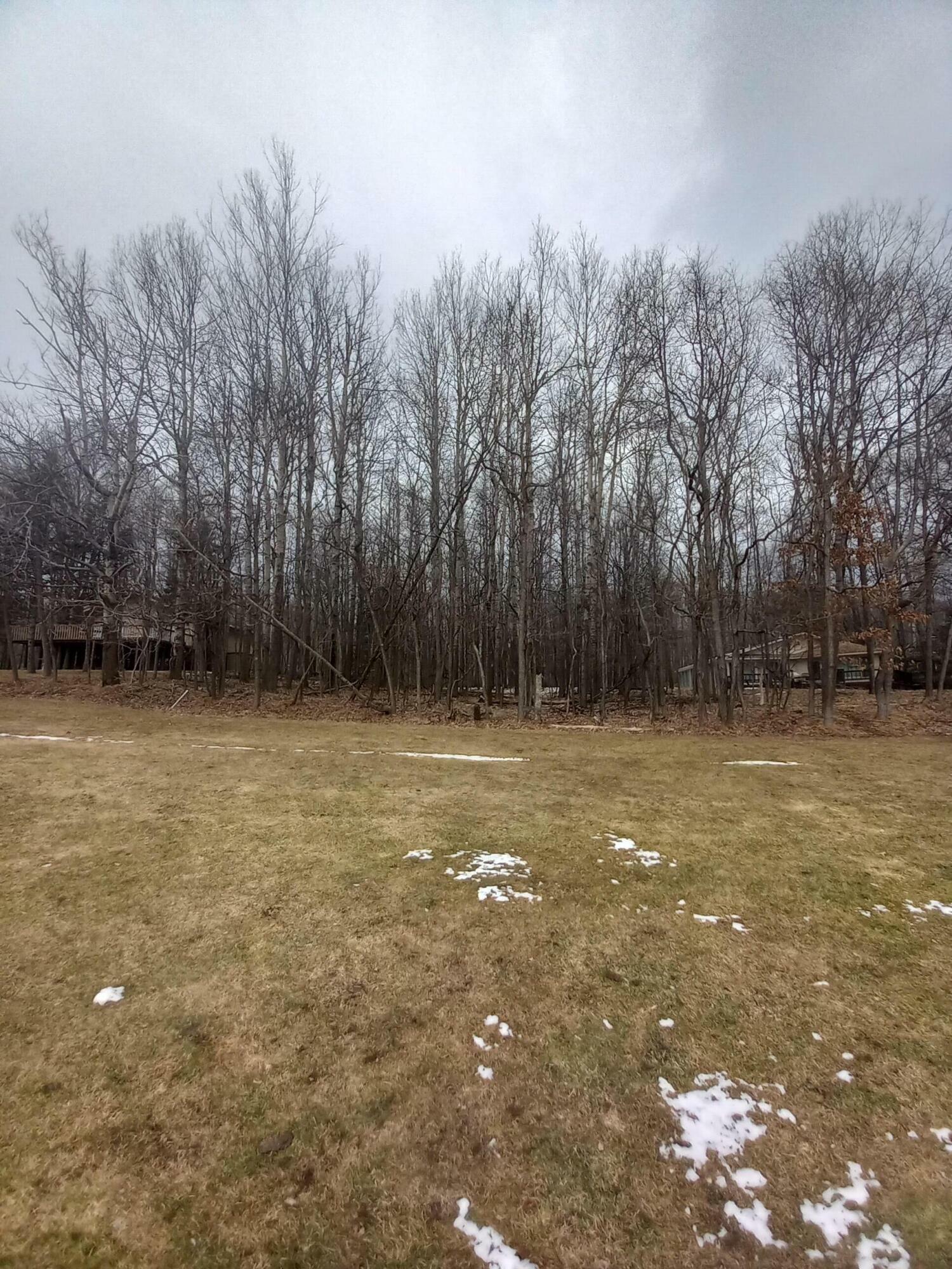 Property Photo:  9875 Golf Port Drive  MI 49346 