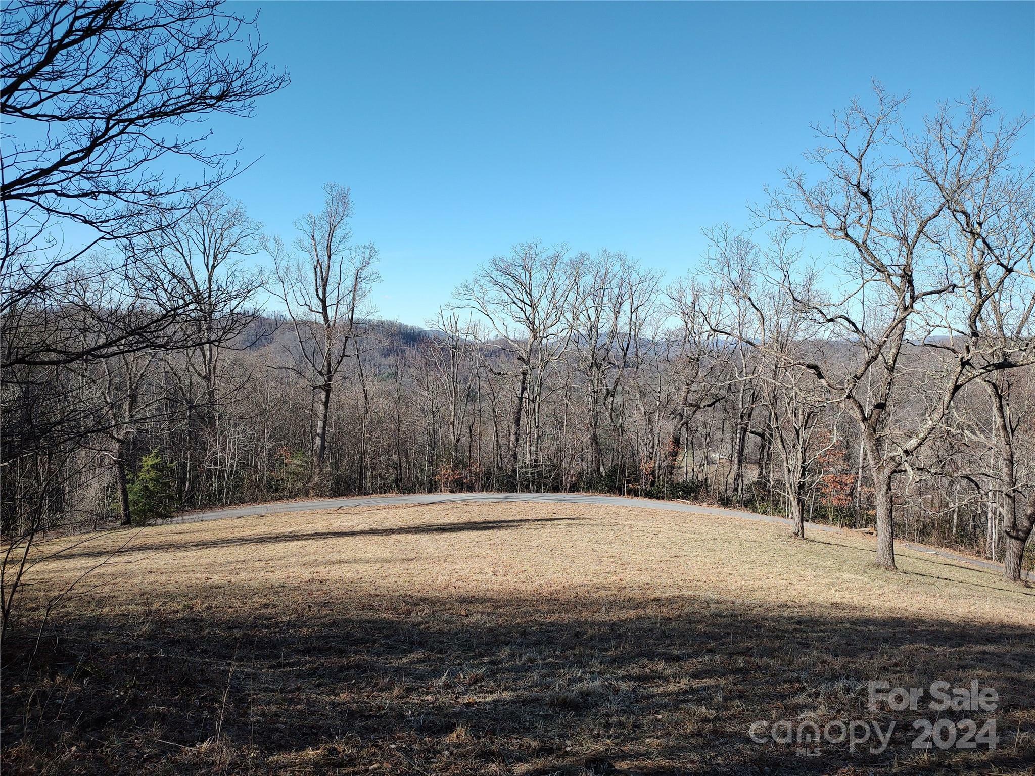 Property Photo:  0 Vineyard Hill Drive  NC 28732 