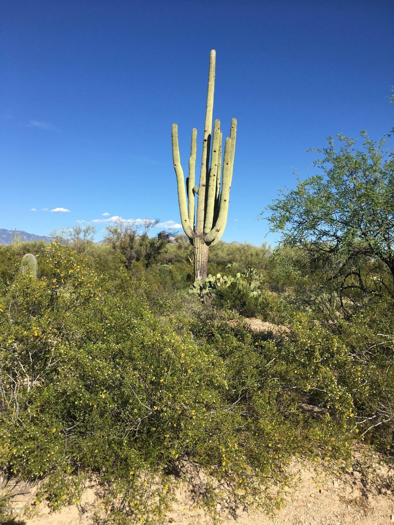 Property Photo:  Tbd N Migitty Lane  AZ 85742 