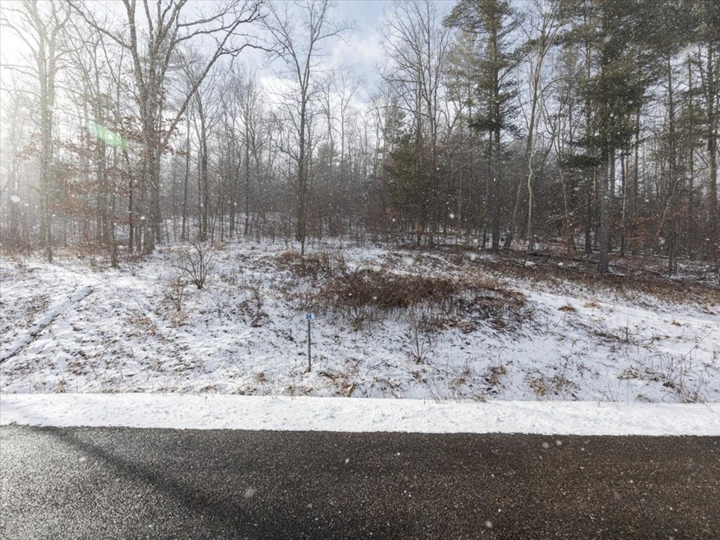 Property Photo:  Lot 33 Hemlock Hills Rd  PA 18848 