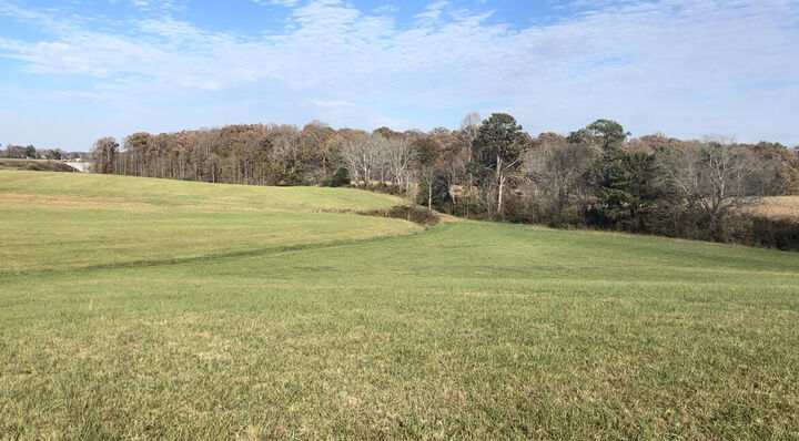 Property Photo: 9999 State Hwy 1006 KY 40744